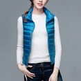 thumbnail image 2 of ICHUANYI Puffer Vest Women Sleeveless Fall Winter Outerwear Warm Puffer Lightweight Stand Collar with Pockets, 2 of 5