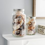 Half Gallon Glass Jar with Lid by Ashland - Storage Container for Cookies - Baked Goods or Decorations - Bulk 12 Pack