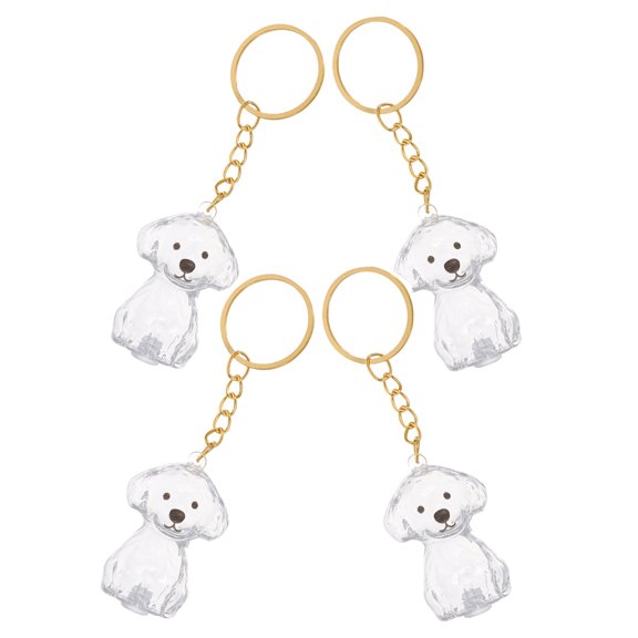 HOMOBABE Transparent Refillable Keepsake Box Dog Hair Memorial Keychain 4 Pack