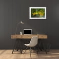 thumbnail image 3 of Hausenflock, Alan 18x13 White Modern Wood Framed Museum Art Print Titled - Autumns Beginning, 3 of 4