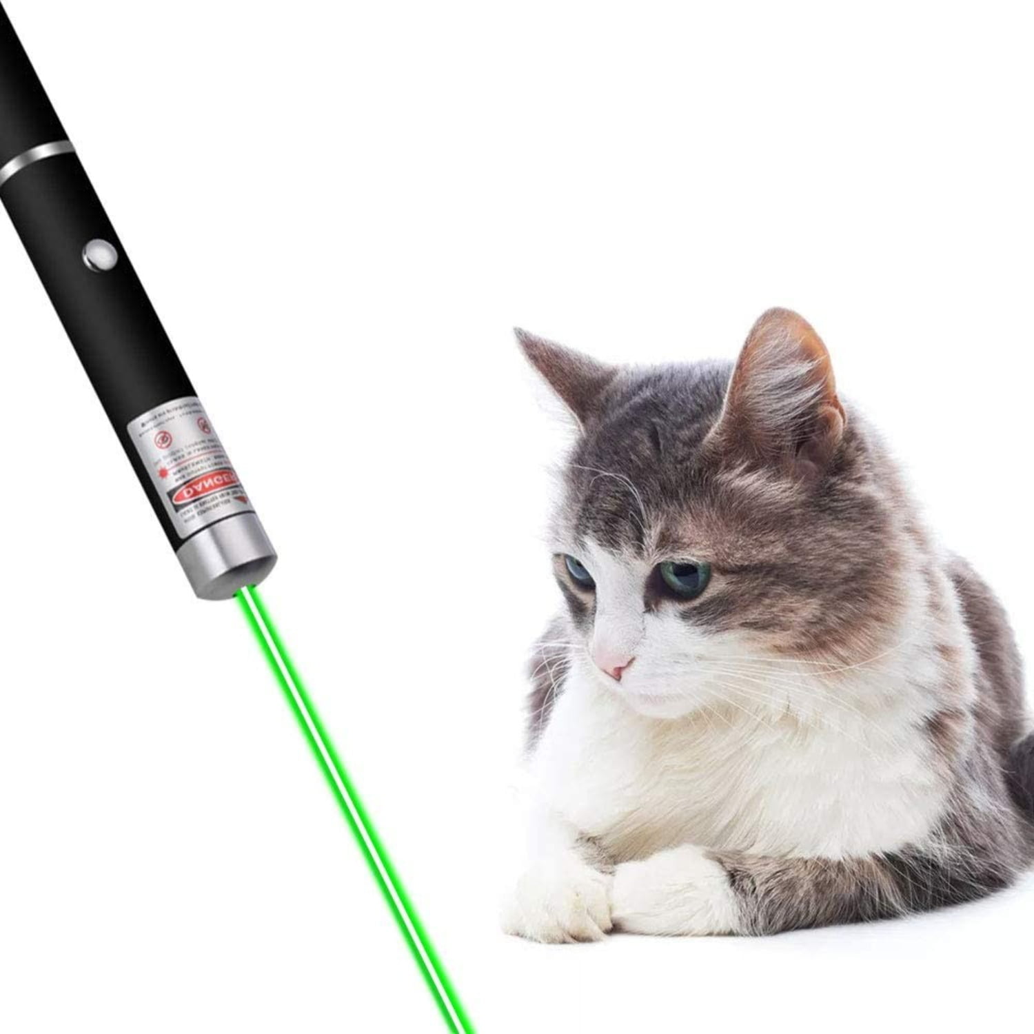 5 PCS Small Laser Pointer Pen 532nm Green Light Visible Beam 1mW For conference presentation