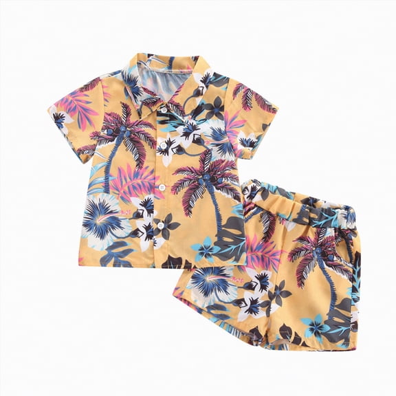 Baby Boy's Clothing Toddler Boy Summer Shorts Set Kid Cotton Hawaii Printed Short Sleeved Beach 18-24 Months 2t 3t 4t 5t 6t T-Shirt with New Born Clothes for Twins Outfits 2-Piece