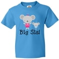 thumbnail image 3 of Inktastic Big Sis with Lil Bro Girls Sister Announcement Youth T-Shirt, 3 of 5