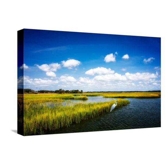 Art.com Wetland Herons II Stretched Canvas Print Wall Art by Alan Hausenflock, 18" x 12"