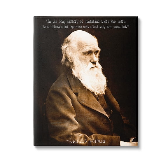 Stupell Industries Inspiring Darwin Quote Inspirational Painting Gallery Wrapped Canvas Art Print Wall Art, 16 x 20