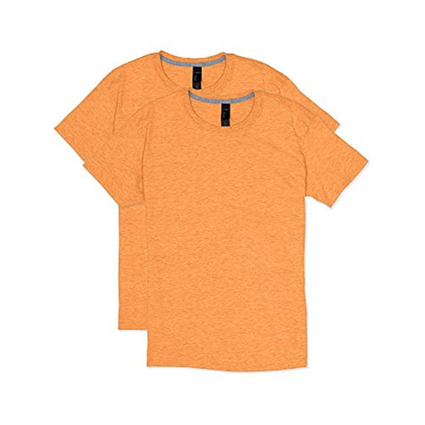 Hanes Men's Short Sleeve XTemp TShirt 4200 (Pack of 2)