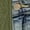 Army Green, variant on Jackets for Women Casual Long Sleeve Collared Jacquard Coats Trendy Button Down Shacket Jacket with Pockets