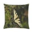thumbnail image 2 of Ahgly Company Coussin d'Intérieur Papillon Insectes, 18 Pouces par 18 Pouces, 2 of 6