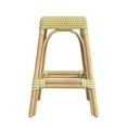 thumbnail image 5 of Butler Specialty Company Robias Rattan 24.5" Counter Stool - Yellow & White Dot, 5 of 6