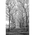 thumbnail image 3 of Carpentieri, Natalie 13x18 Black Modern Framed Museum Art Print Titled - Pier a Park, 3 of 5