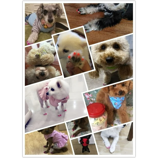 Dog nail covers hot sale