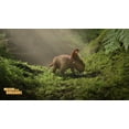 thumbnail image 4 of Walking With Dinosaurs COMBO, 4 of 5