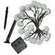 thumbnail image 1 of 1PCS Shell Solar String Lights-Solar 6.5m 30 Color de luces Adepaton CPB-US-DYP810-3, 1 of 5