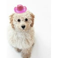 thumbnail image 5 of Dog Cowboy Hat Cat Cowboy Hat Pet Cowboy Costume Mini Cowboy Hat for Dogs Cat Holiday Halloween Pet Party Decoration (Brown, Small), 5 of 10