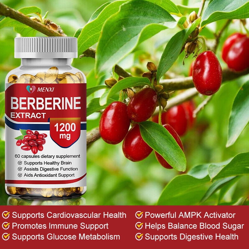 (3 Bottle)MENXI Berberine Extract Capsules,High Potency Berberine HCl Extract Supplement, Concentrated Berberine 1200mg Supplements, -Gluten Free & Non-GMO