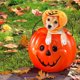 thumbnail image 5 of Halloween calabaza perro sombrero mascota fiesta disfraz lindo cachorro gatito Halloween vestir MFZFUKR CPB-US-XD1465-2, 5 of 5