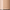 Sand Beige, variant on Revlon PhotoReady Insta-Filter Foundation - True Beige