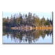thumbnail image 1 of Cuadro Canvas Pixtreats Reflejos de Árboles 40X60 cm, 1 of 4