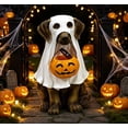 thumbnail image 6 of VAIFTILNO Halloween Decorations, 9.8in Ghost Dog Pumpkin Candy Bowl, Vintage Distressed Resin Puppy Treat Container Front Door, Porch, Home Decor, 6 of 7