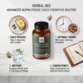 thumbnail image 6 of Herbal Bee Advanced Alpha Focus Brain Supplements for Memory and Focus with Ginkgo Biloba, 60 Count, 6 of 7