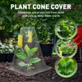 thumbnail image 2 of Campana reutilizable mejorada de Garden Cloches Koujut 2025 (20 cm, transparente), 2 of 9