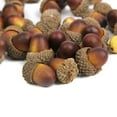 thumbnail image 2 of 60pcs Artificial Lifelike Simulation Small Acorn Set Decoration False Nuts Home Kitchen Decor, 2 of 6