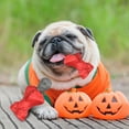 thumbnail image 5 of MASBRILL Skull Dog Toys– Durable Dog Toys for Aggressive Chewers & Chew Toy Non-Toxic Food Safe Natural Rubber, 5 of 7