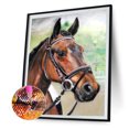 thumbnail image 2 of Cuadros Decorativos 5D diamante pintura caballo DIY completo redondo taladro mosaico pared dibujos (L3004) Sywqhk Nuevos Originales, 2 of 9