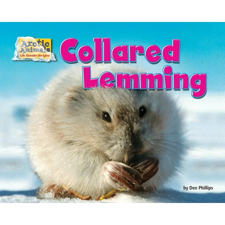 Arctic Animals: Life Outside the Igloo: Collared Lemming (Paperback)