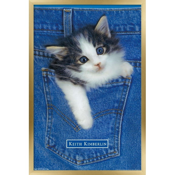 Keith Kimberlin - Kitten - Pocket Wall Poster, 22.375" x 34", Framed