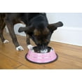 thumbnail image 3 of Iconic Pet 2-Pack Color Splash Stripe Non-Skid Pet Bowl, For Dog or Cat, Pink, 8 Oz, 1 Cup, 3 of 11