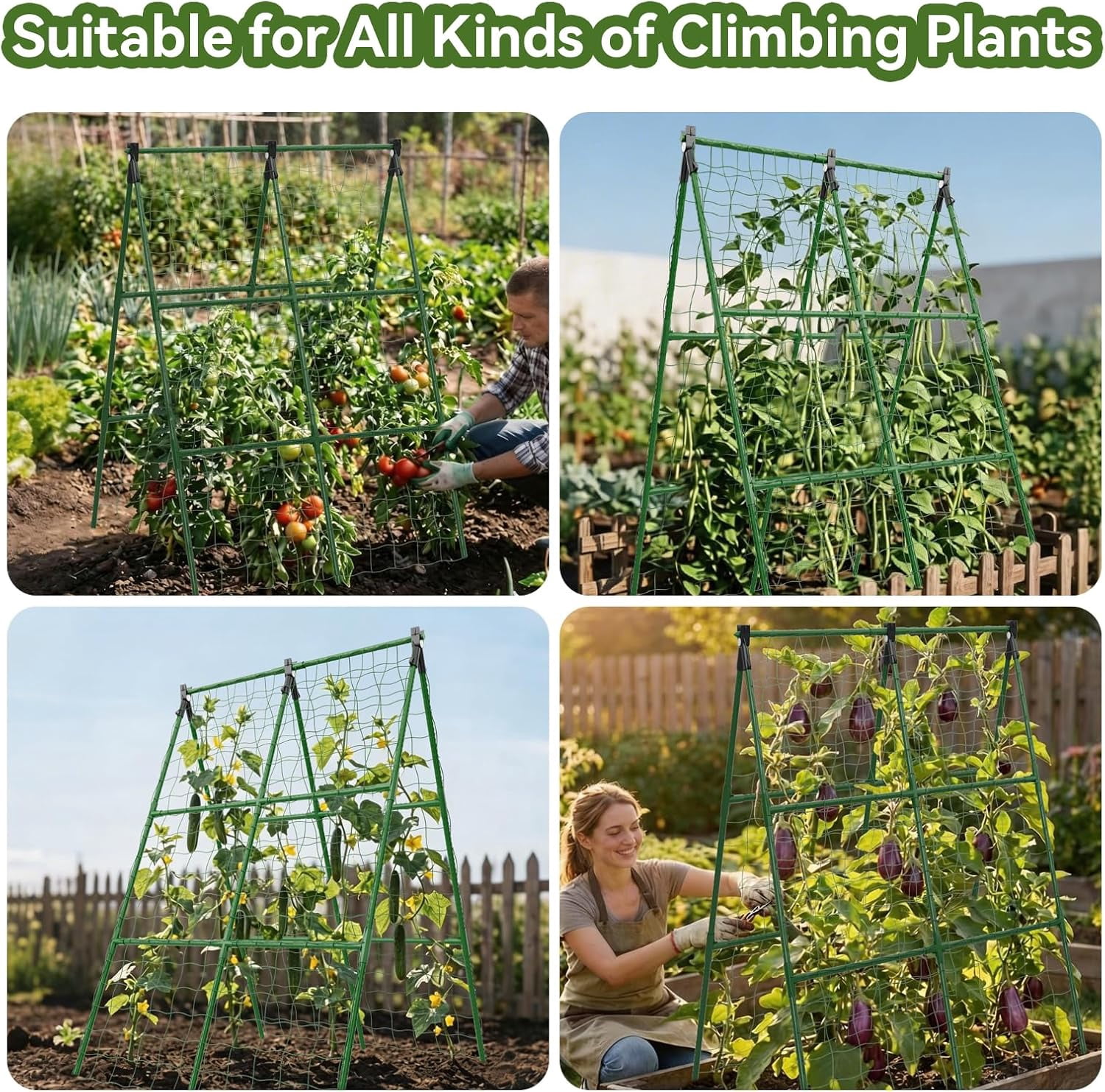 Support for Tomatoes, Squash, Zucchini, Vegetables & Flowers, 2 Pack Cucumber Trellis, 34"×48" Garden Trellis for Climbing Plants Outdoor, A-Frame Vegetable Trellis for Raised Bed