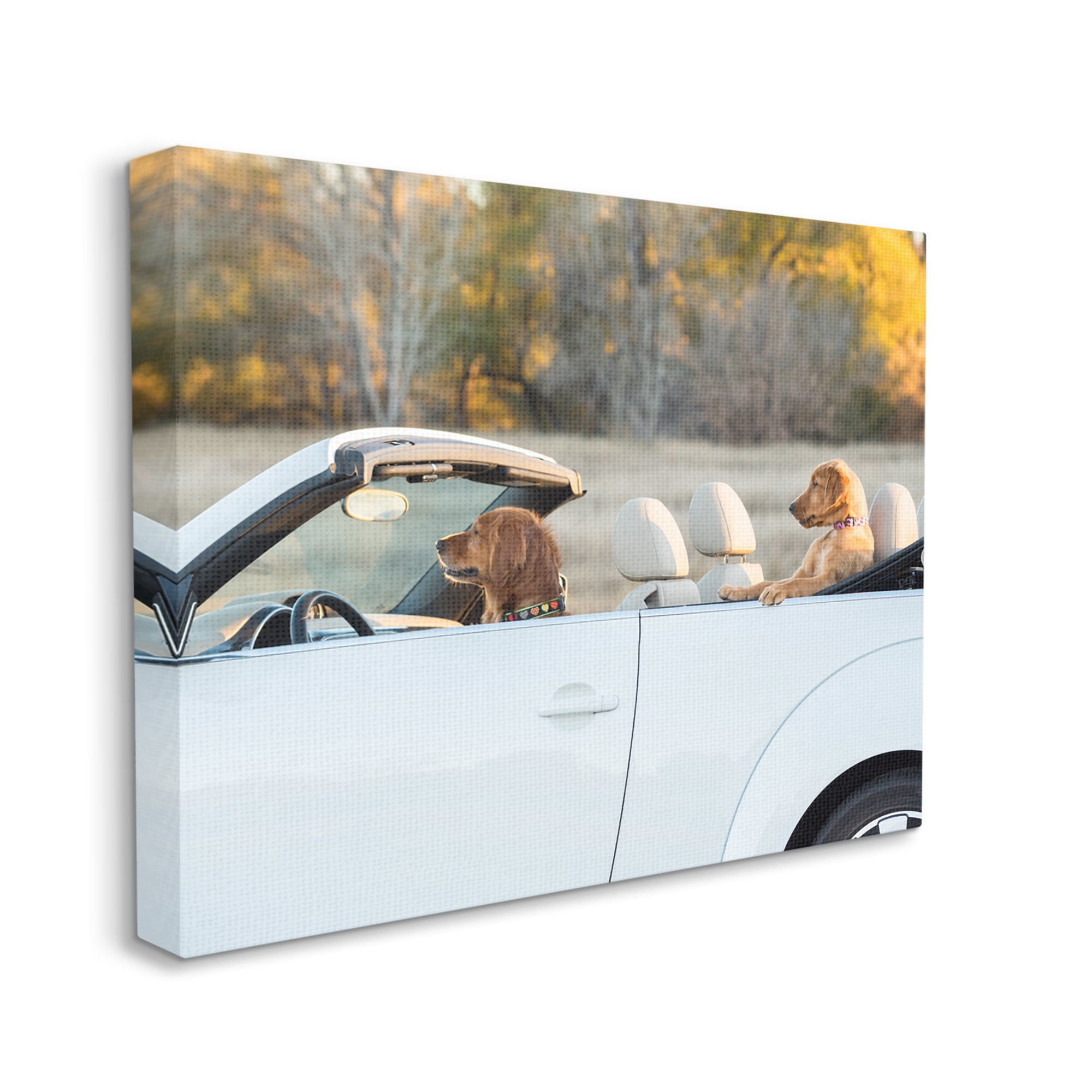 Stupell Industries Dogs Driving Convertible Animals & Insects Photography Gallery Wrapped Canvas Art Print Wall Art, 48 x 36