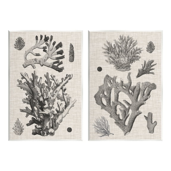 Stupell Industries Vintage Coral Study Animals & Insects Painting Unframed Art Print Wall Art, 10 x 15, Set of 2