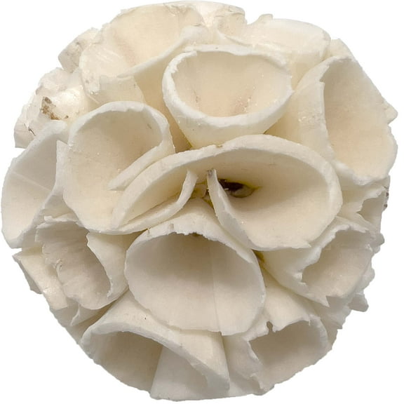 5128 Small Sola Crepe Chewers Pack Size: Pack (1)