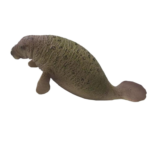 FIGURAS de MARINOS RESLISTICOS - Incluyendo , Gran , , Morsa, Tortuga , León Marino, 10 Manatí Baoblaze Juguetes marinos de animales