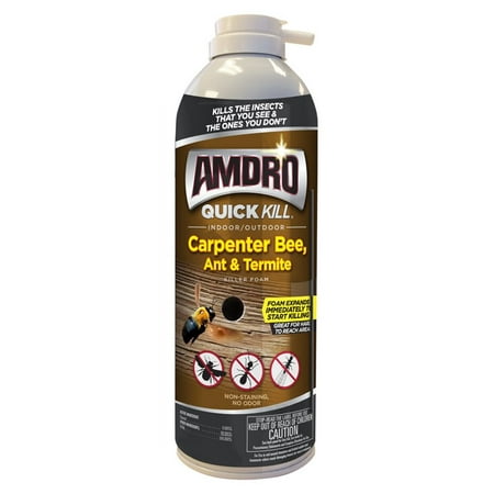 amdro killer ant carpenter foam bee aerosol termite kill oz indoor quick outdoor