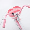 thumbnail image 6 of Royalbaby Jenny Princess 20 inch Girl's Bicycle, White & Pink, 6 of 12