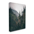 thumbnail image 4 of Stupell Industries Rustic Mountain Landscape Landscape Photography Gallery Wrapped Canvas Art Print Wall Art, 16 x 20, 4 of 8