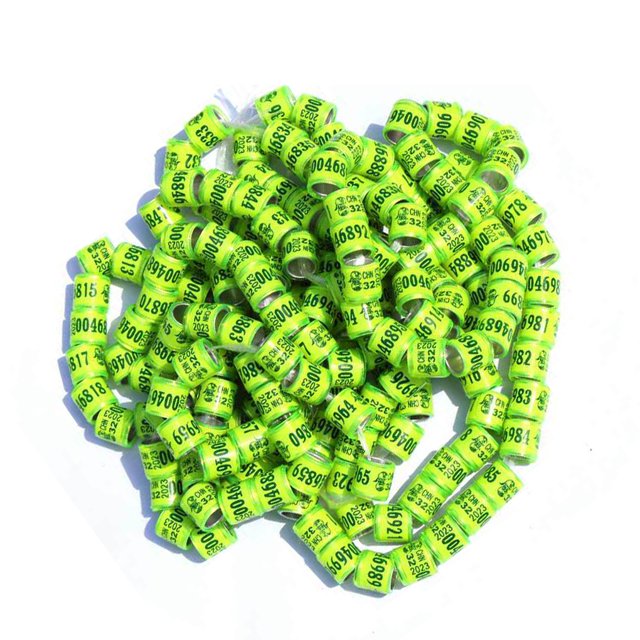 Greeniant 50x 2023 Anillos para patas de paloma Bandas para pies de pájaro para Bantam Finch Canary Pink Suministros para pájaros Amarillo claro 50 pcs