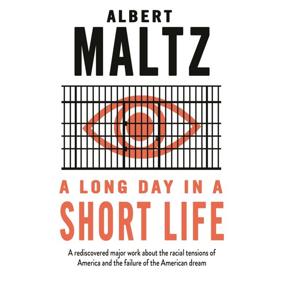 A Long Day in a Short Life (Paperback)