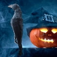 thumbnail image 1 of Artificial Black Crows Birds, Realistic Hanging Dead Crow Prop, Halloween Decorations Raven Prop Outdoor Crows Halloween Decor Fake Raven for Halloween Party Prop. (A), 1 of 7