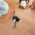 View all media