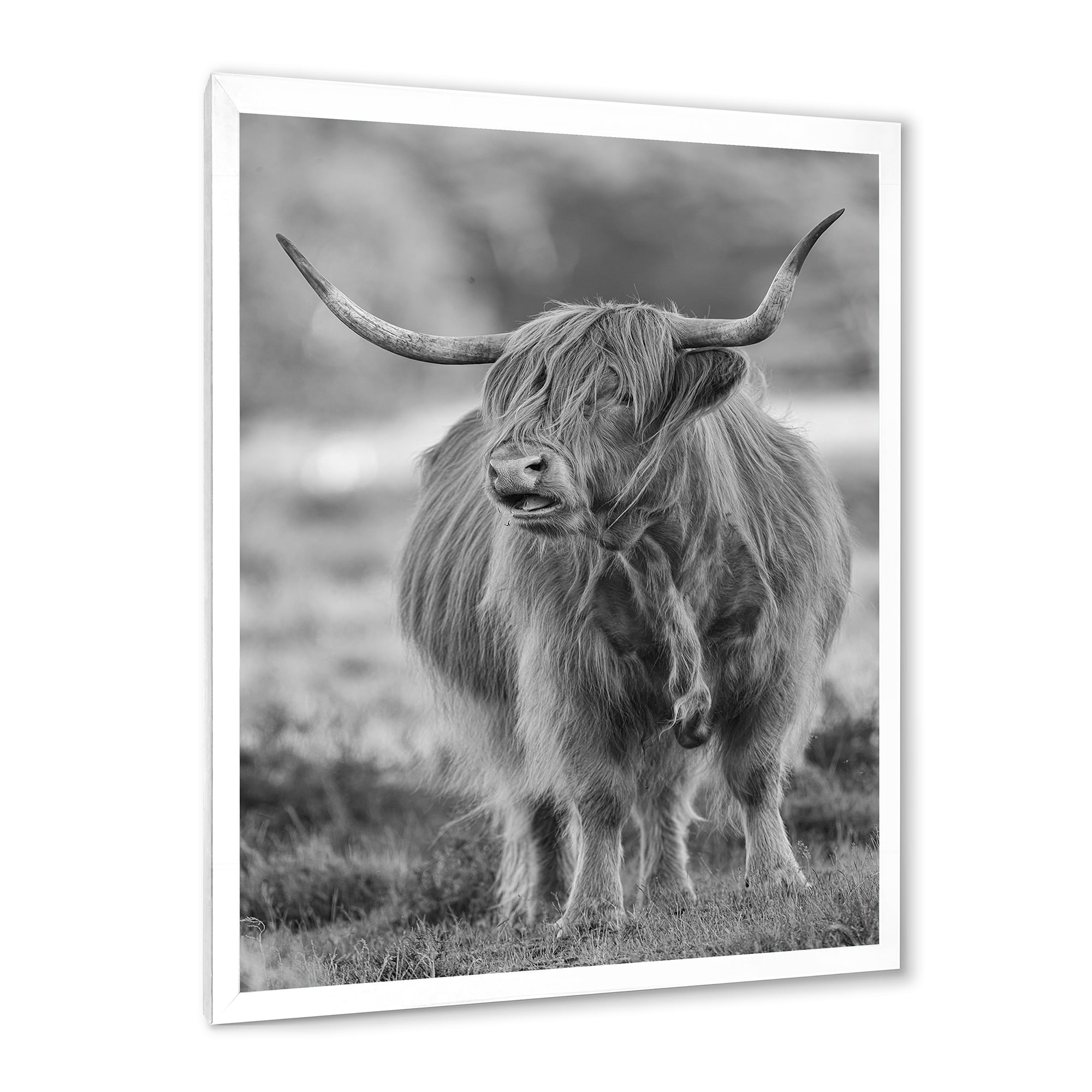 Designart 'Close Up View of Monochrome Bull' Farmhouse Framed Art Print