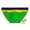 Green, variant on ZenCart Men Swimming Briefs with Padded Cup Mid-rise Color-Block Design Side Split Quick-Drying Elastic Breathable Swim Trunks