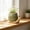 Green#109, variant on Cute Green Ceramic Snail Succulents Planter Pot with Drainage Hole, 3.6x2.6 in Miniature Cartoon Animal Desktop Decor Flowerpot Vase A