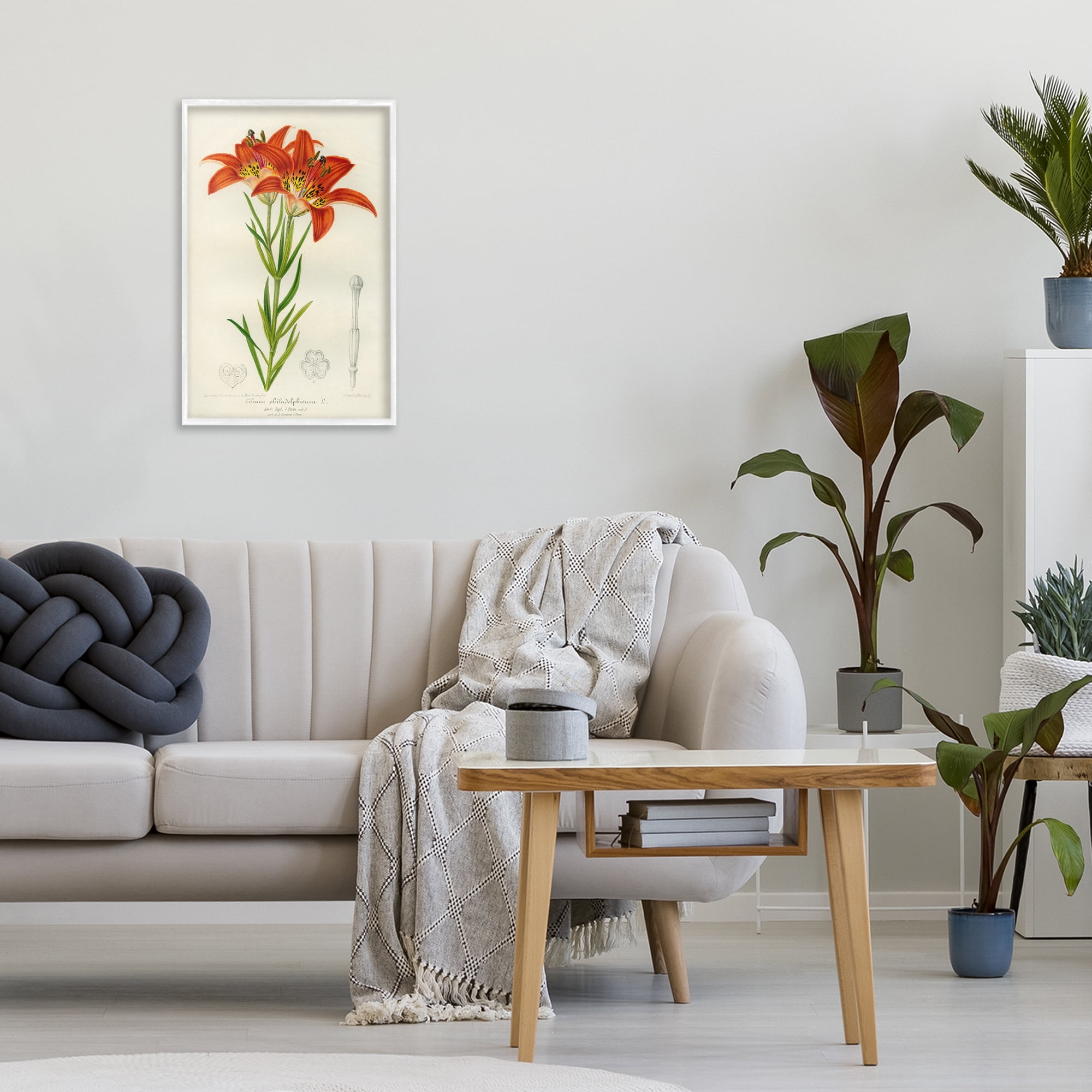 Stupell Industries Western Red Lily White Framed Giclee Art, design by Print Collection