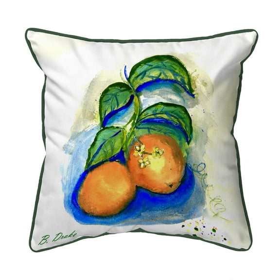 Two Oranges Indoor/Outdoor Pillow 18x18 Medium