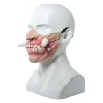 thumbnail image 3 of Cubierta De Cara De Halloween Látex Media Cara Hueso Cubierta De Cara De Miedo Cosplay Accesorios Decorativos Advancent HA036759-00, 3 of 6