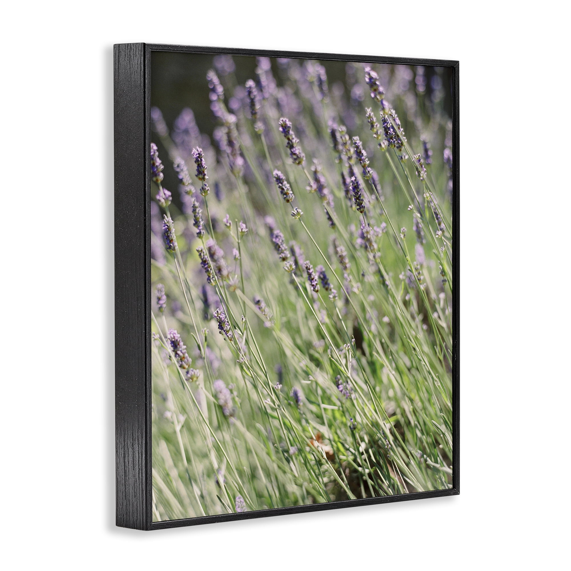 Stupell Industries Country Lilac Garden Botanical & Floral Photography Black Framed Art Print Wall Art, 11 x 14